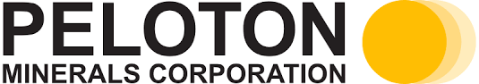 PMCCF PMC
